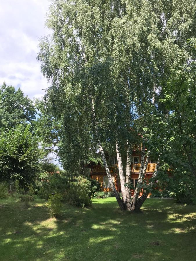 Pokoje Pod Debami Kazimierz Dolny Kültér fotó